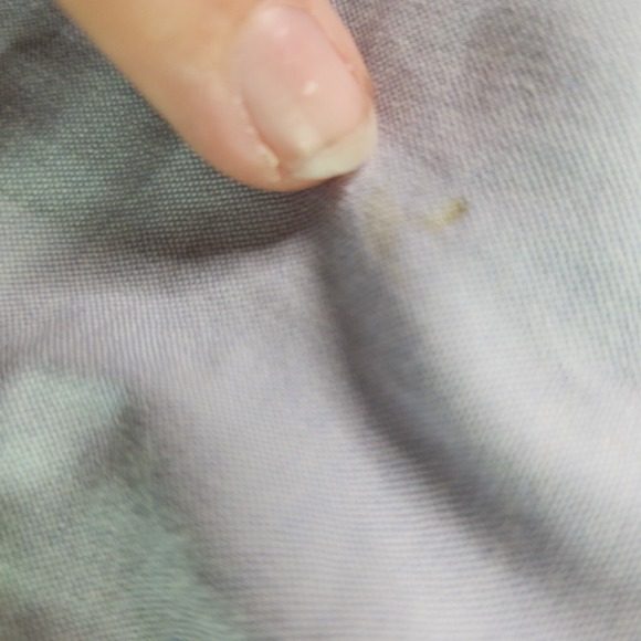 Robert Graham Freshly Laundered Shirt Sz XXL Light Blue Long Sleeve Button Up - Picture 4 of 12